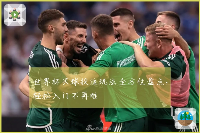 世界杯买球投注玩法全方位盘点，轻松入门不再难