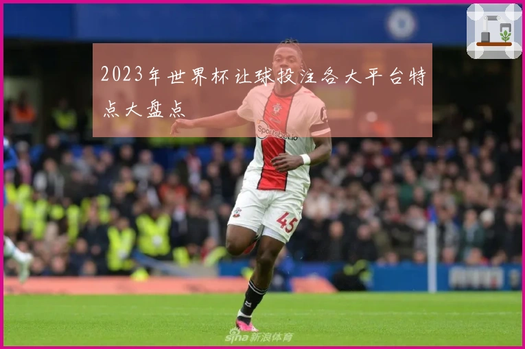 2023年世界杯让球投注各大平台特点大盘点
