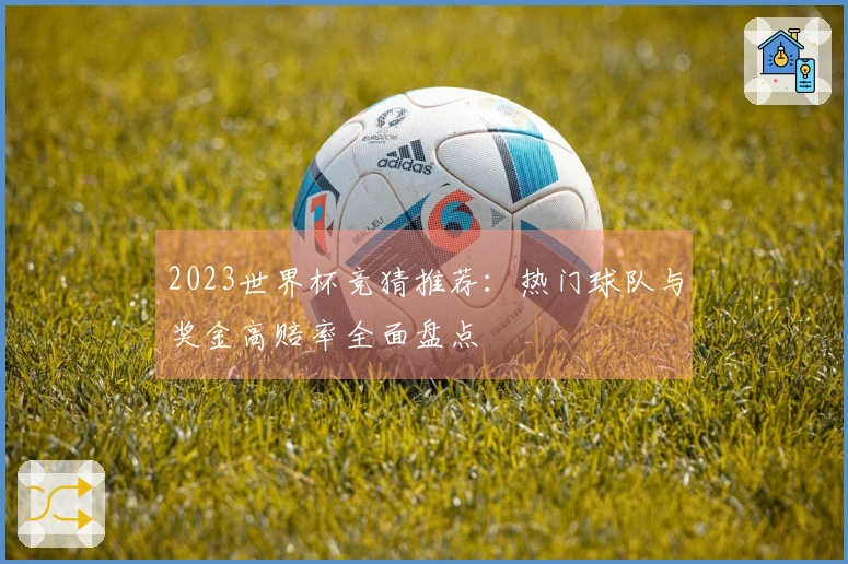 2023世界杯竞猜推荐：热门球队与奖金高赔率全面盘点